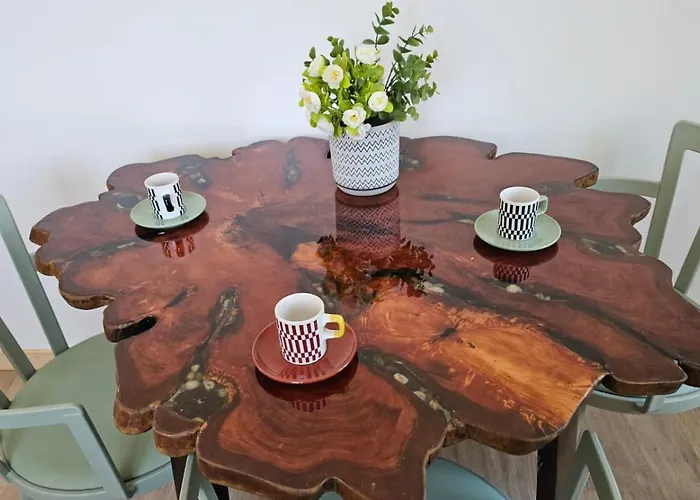 公寓 Floor In Flor Do Campo - 桑塔纳