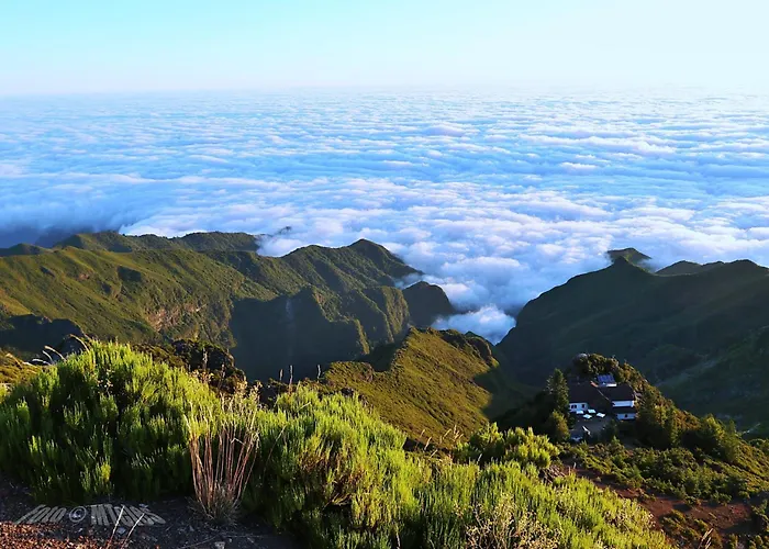 Floor In Flor Do Campo - * 桑塔纳