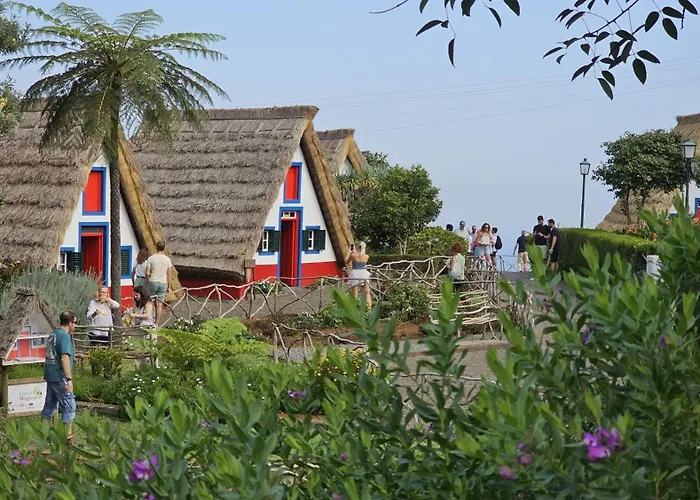 Floor In Flor Do Campo -