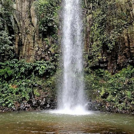 Floor In Flor Do Campo - Santana (Madeira)