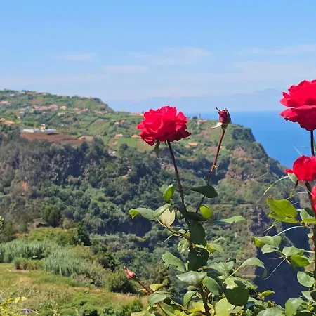 Floor In Flor Do Campo - *