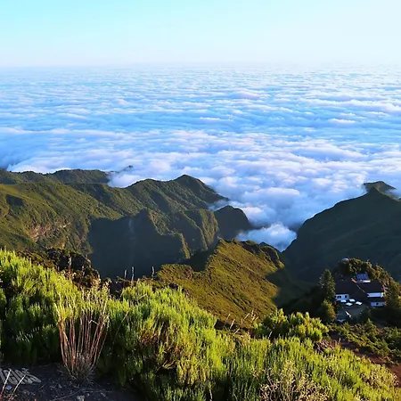 Floor In Flor Do Campo - * سانتانا