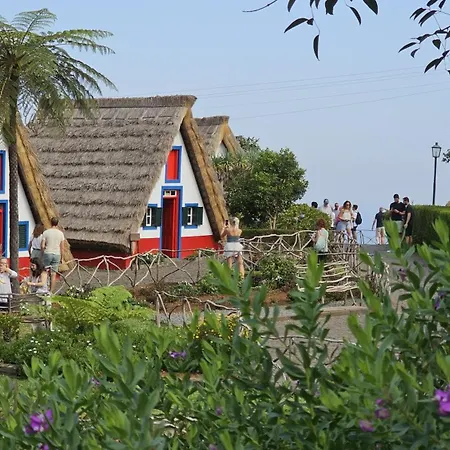 Floor In Flor Do Campo -