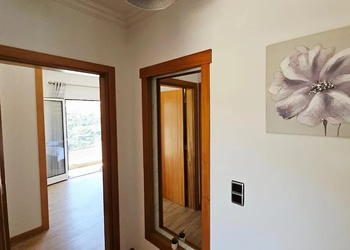 شقة Floor In Flor Do Campo - سانتانا