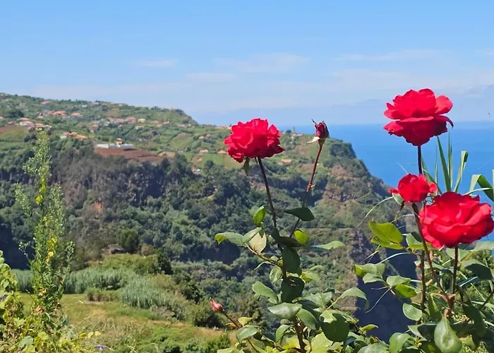 Floor In Flor Do Campo - *